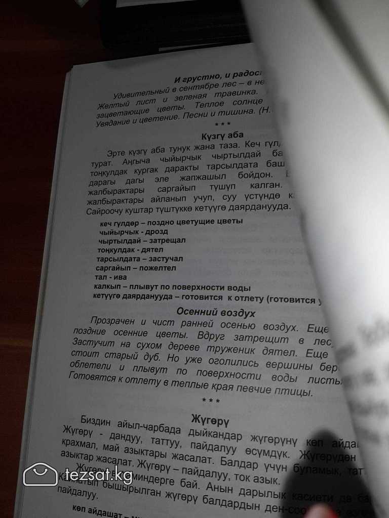 Сборник диктантов на кыргызском и русском языках для 1-4кл.