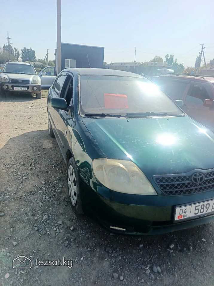 тез сат image 2