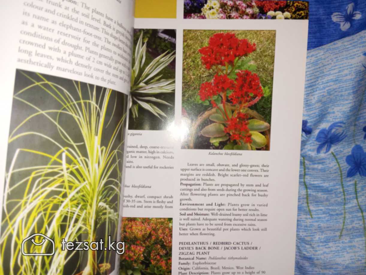 Ornamental Gardening A USER COMPANION (2009) на ан image 11