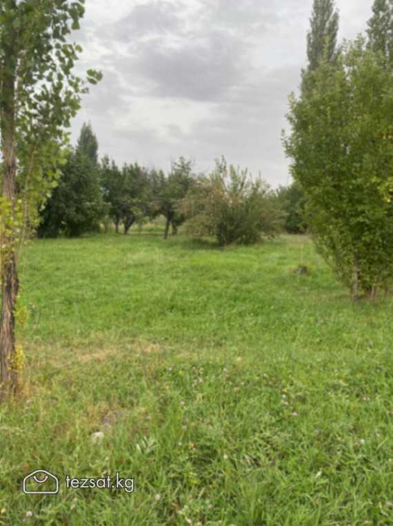 Продается участок в сокулукском районе. Село Шалта image 5