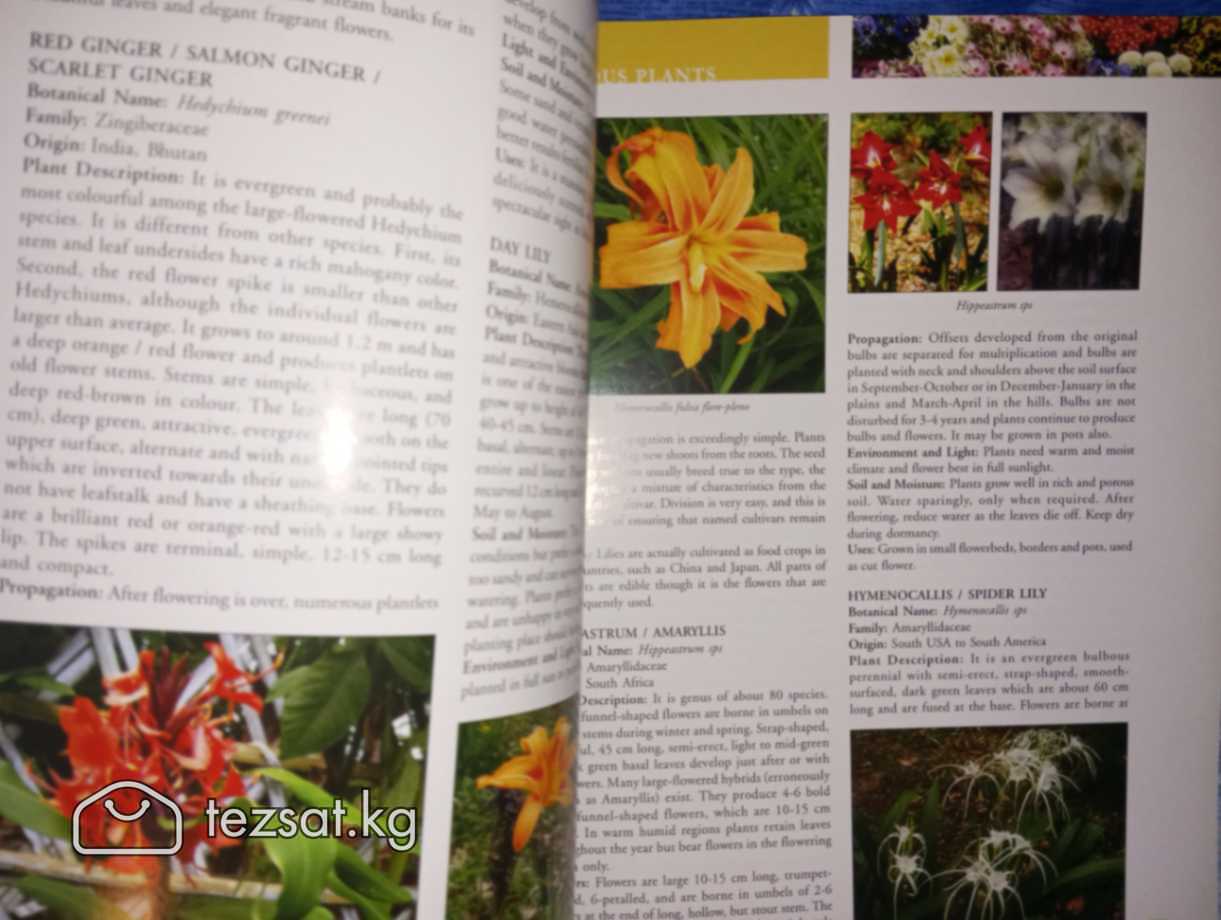 Ornamental Gardening A USER COMPANION (2009) на ан image 2