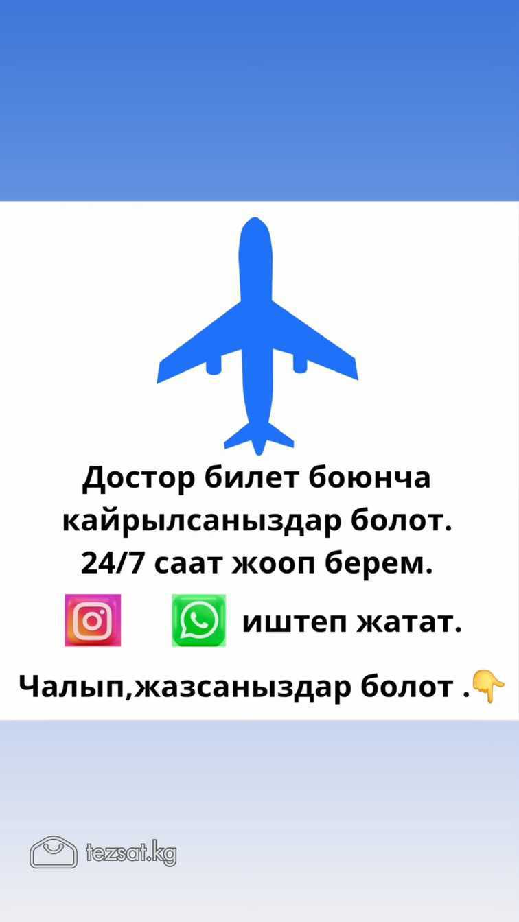 Онлайн авиабилет алып дуйнону кыдырыныз.Сыртка чыг