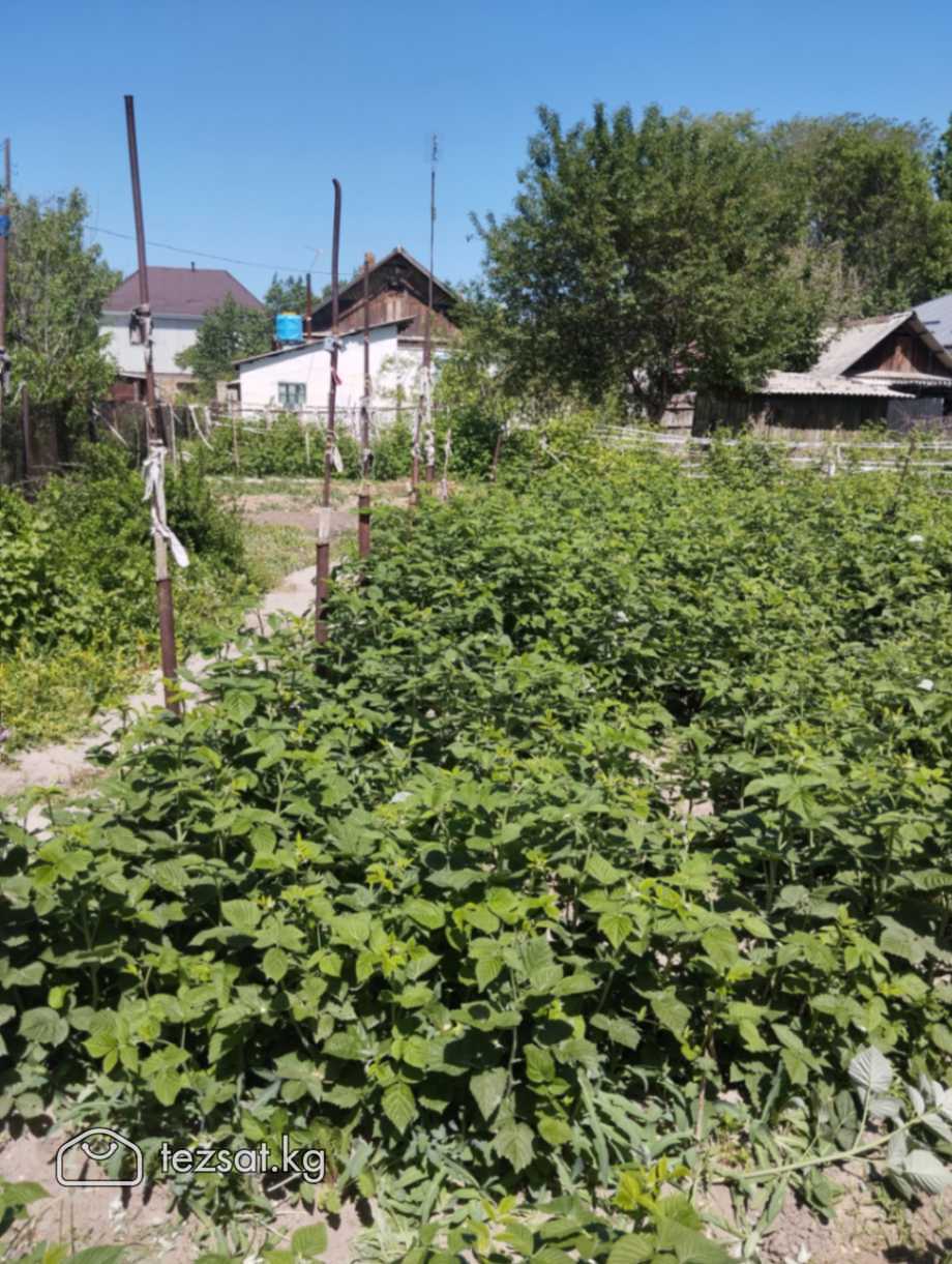 Продается до в г Шопоков. Кирпичный дом,5 комнат,в image 6