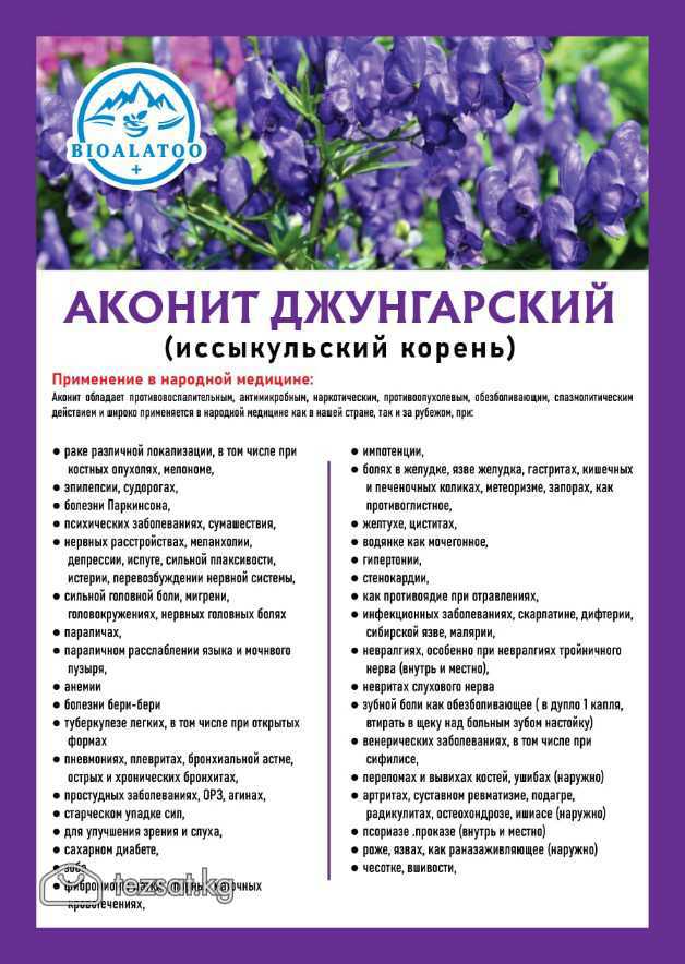АКОНИТ ЖУНГАР (Ысыкуль тамыры)

 Элдик медицинада  image 3