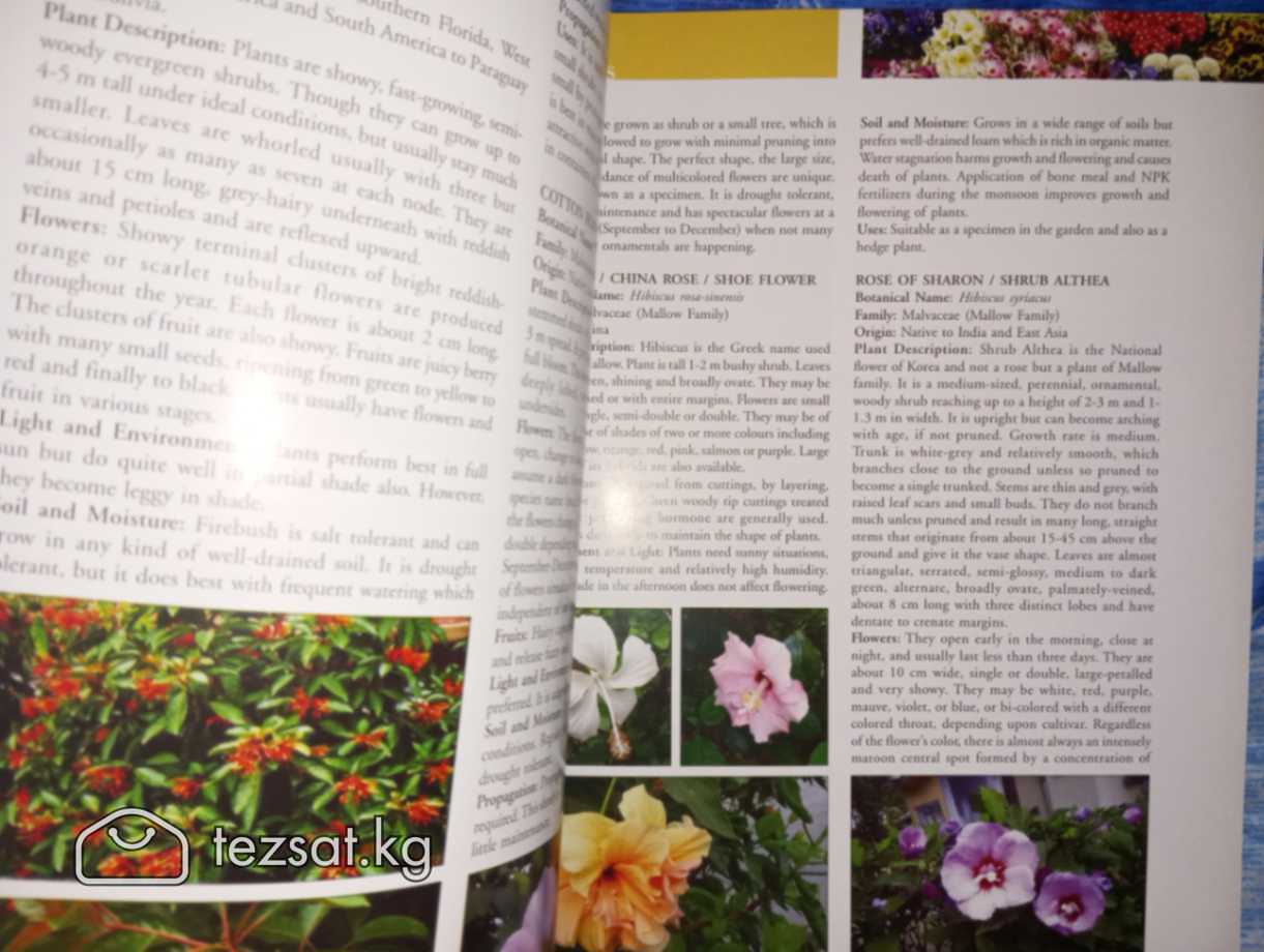 Ornamental Gardening A USER COMPANION (2009) на ан image 9