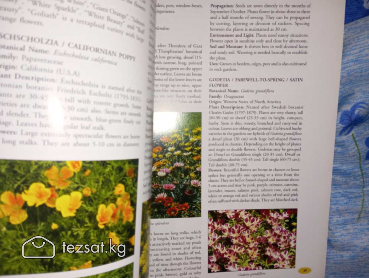 Ornamental Gardening A USER COMPANION (2009) на ан image 4