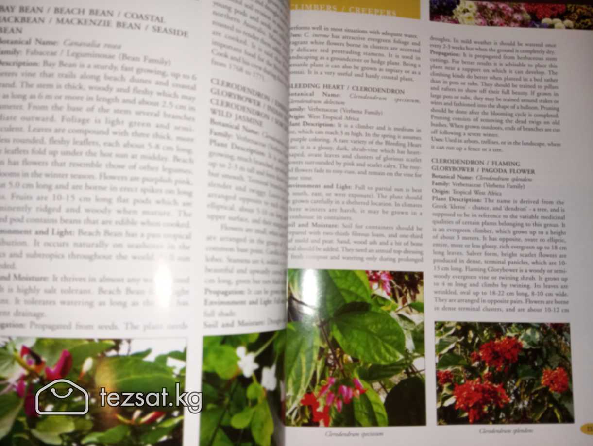 Ornamental Gardening A USER COMPANION (2009) на ан