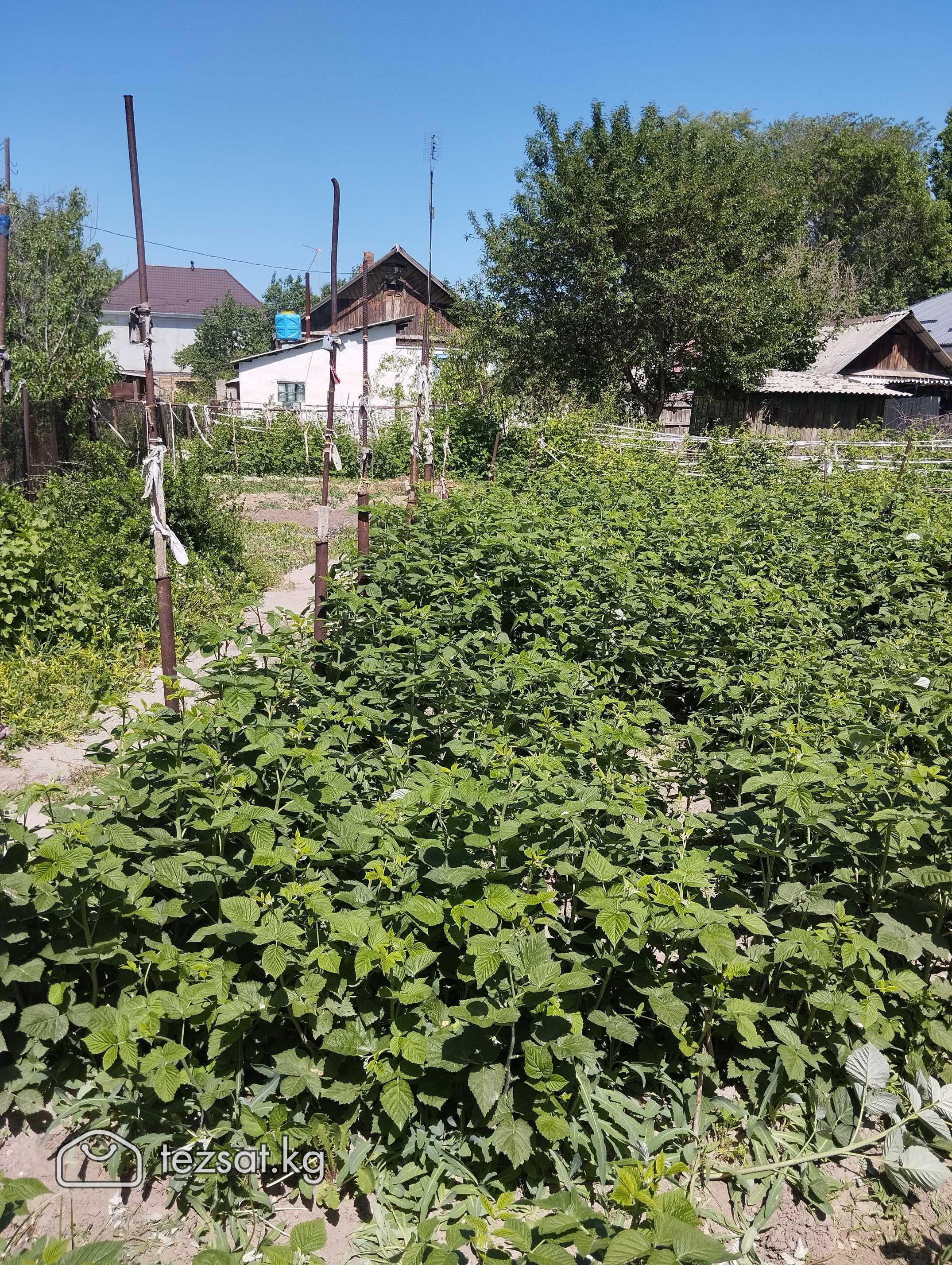 продаю дом в г.Шопоков. дом расположен не далеко о image 8