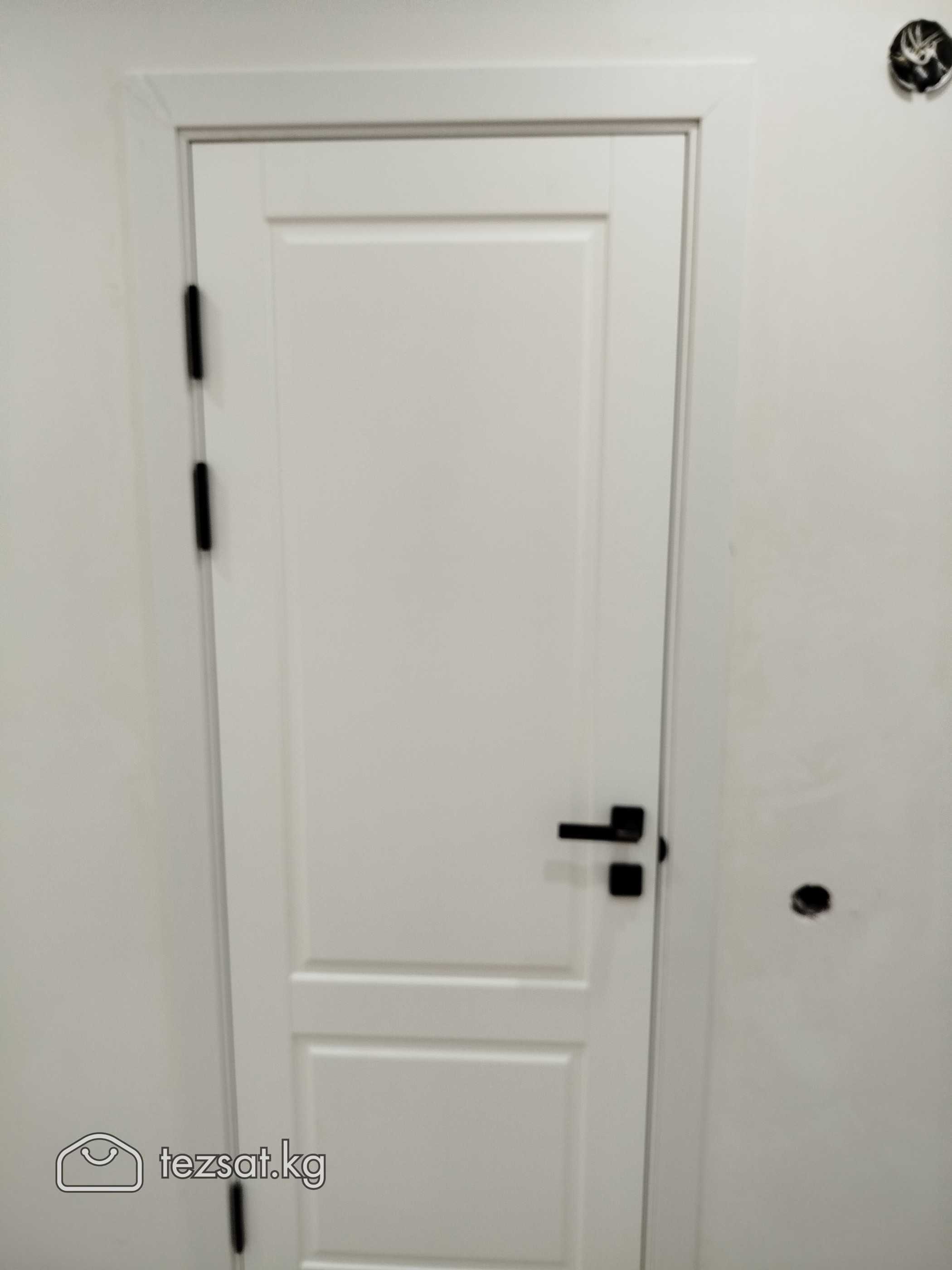 установка межкомнатные наружной бронированных двер image 1