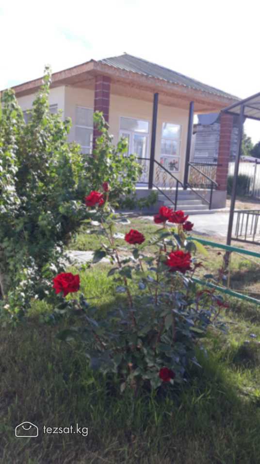 Пансионат "Лотос"

 

Пансионат расположен на севе image 4