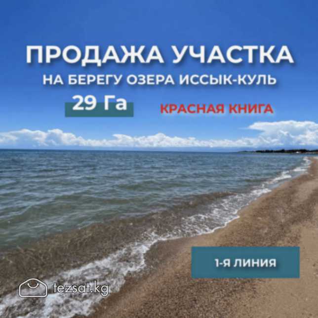 1-я ЛИНИЯ северного берега о. Иссык-куль, 100 метр