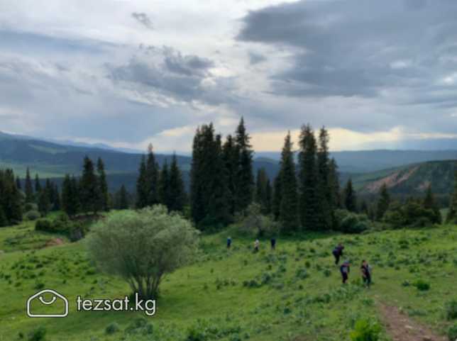 Горный отель "Алаколь - Жыргалан"

Проживание в ко image 1