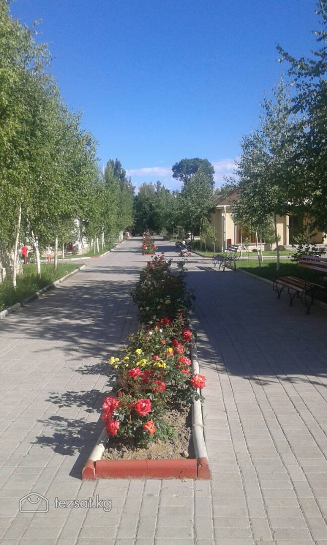 Отдых на Иссык Куле! Сдаю коттеджи на Иссык Куле image 8