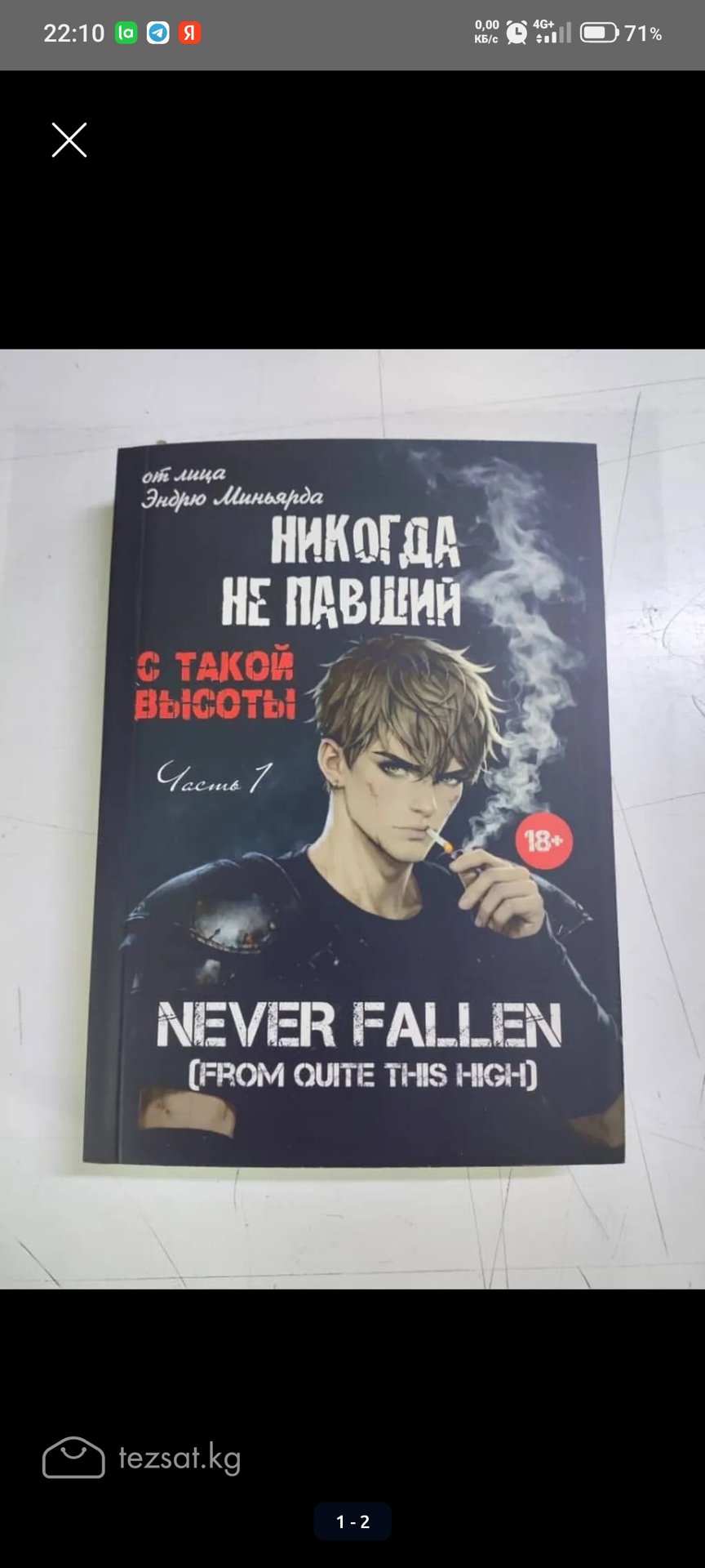 Книги Никогда не павший (любой тираж)