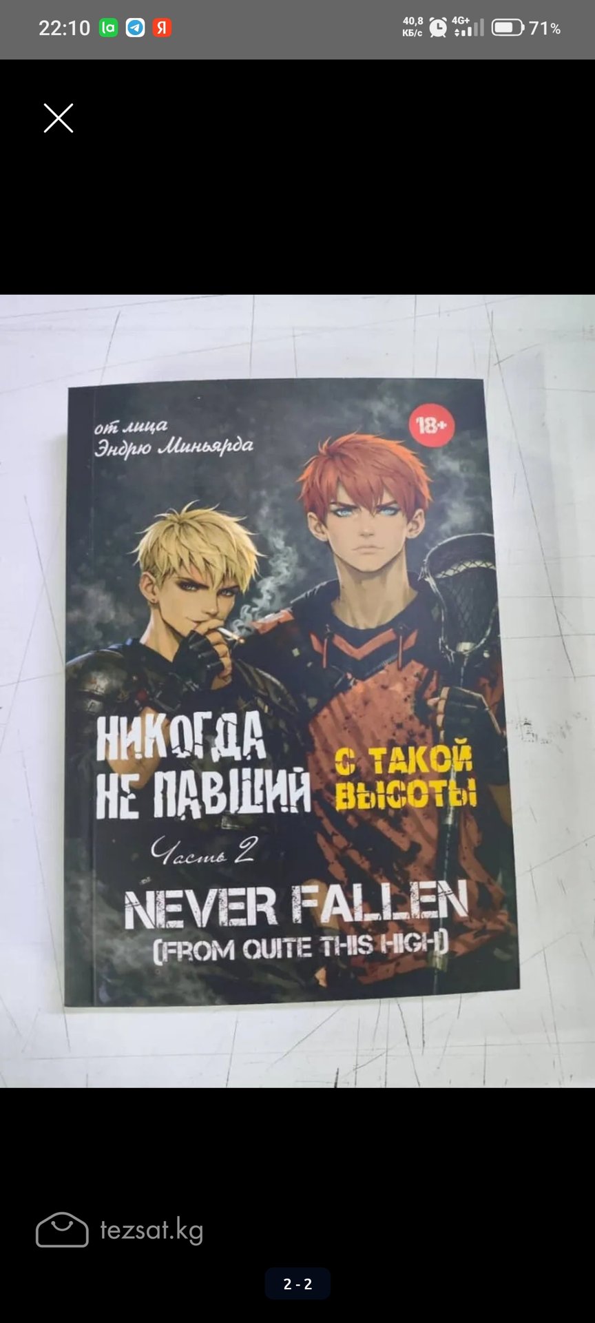 Книги Никогда не павший (любой тираж) image 1